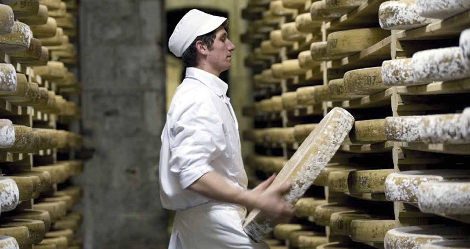 Multa decidir Parpadeo Los 10 mejores quesos franceses - Gastroactitud. Pasión por la comida