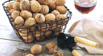 ¿Qué beneficios aportan las nueces?