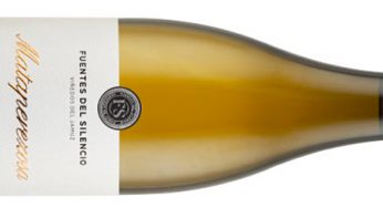 Mataperezosa 2018, la herencia vitícola blanca del valle del Jamuz