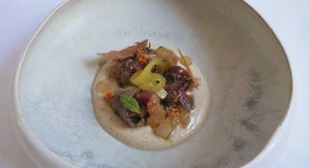Mazamorra de avellanas con presa en escabeche
