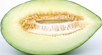 Melón: mentiras y verdades de una fruta de temporada