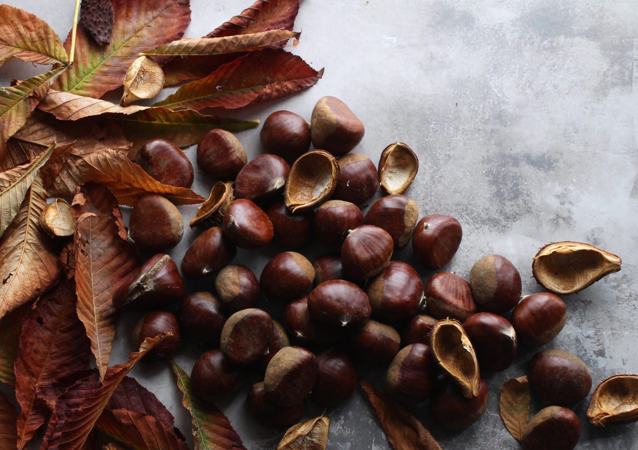 Resplandor lanzar empujar Los mejores productos de otoño - Gastroactitud. Pasión por la comida