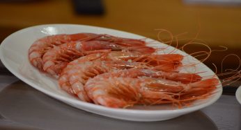 10 restaurantes de Málaga, la ciudad de moda
