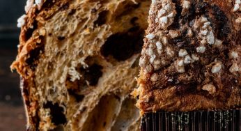 Los mejores panettones para endulzar la Navidad