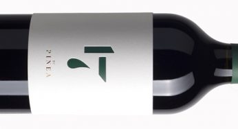 17 by Pinea 2018, el sabor cosmopolita del Duero