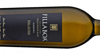 Fillaboa Selección Finca Monte Alto 2018, la plenitud del albariño