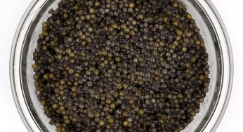 Caviar Riofrío, Premio Alimentos de España