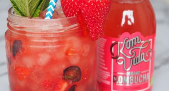 Mojito realfooder de frutos rojos