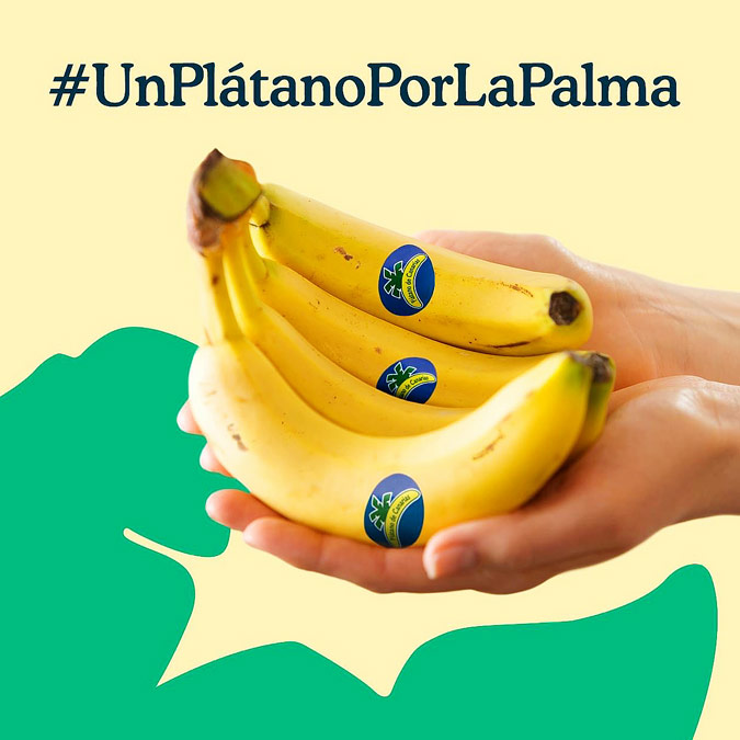 Un platano por La Palma