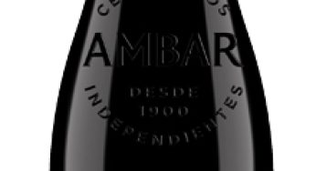 Ambar Trufada, la ambiciosa cerveza de los bosques de Aragón