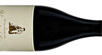 Viñedo Saturno 2020, el rico legado de los abuelos en El Bierzo