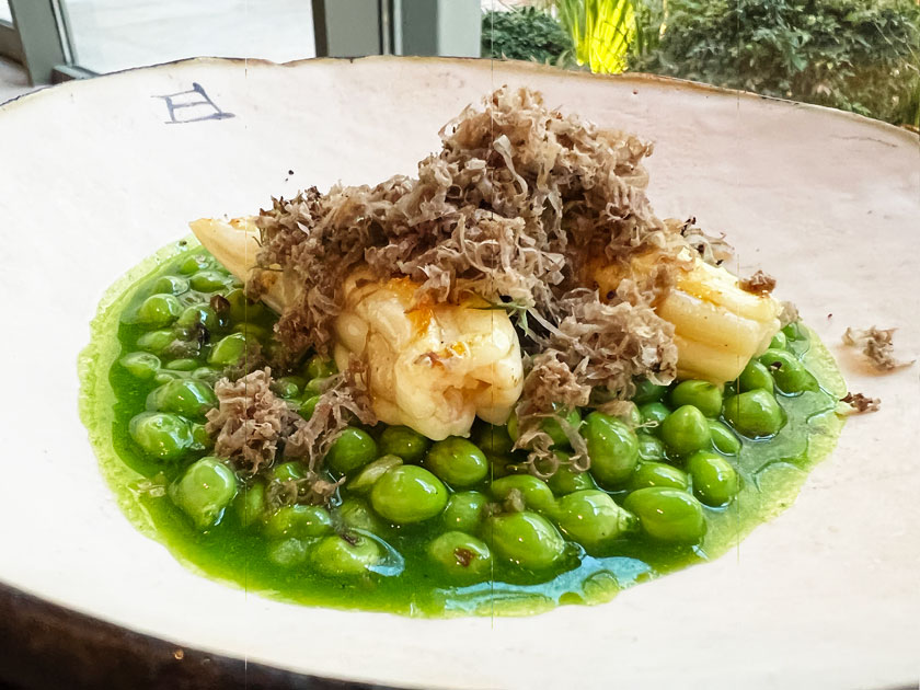 Restaurante Desde 1911 (Madrid) Guisantes con espardeñas y trufa negra