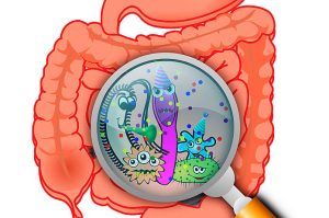 Dibujo de bacterias y microbiota