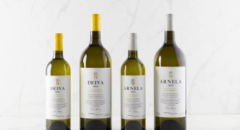 Así serán los primeros vinos blancos de Vega Sicilia en España