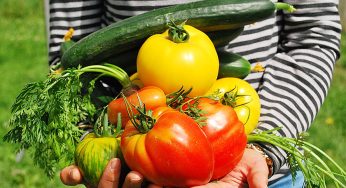 5 retos alimentarios contra el cambio climático
