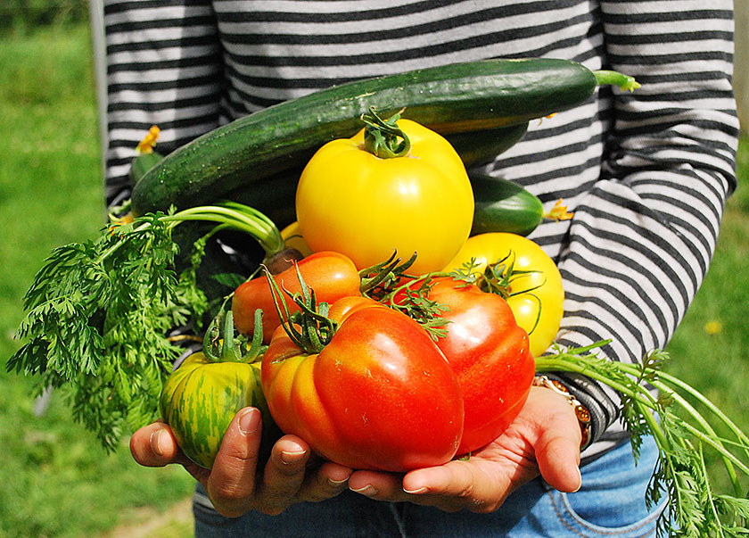 5 retos alimentarios contra el cambio climático