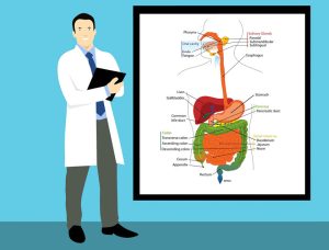 Imagen de un médico de digestivo