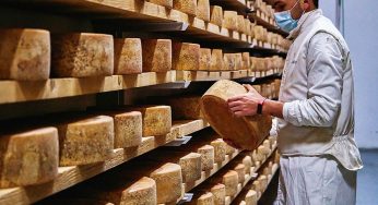 ¿Cómo se hace un queso? (Parte I)