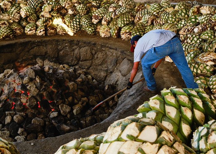 Proceso de elaboración de Amarás Espadín empleando métodos tradicionales