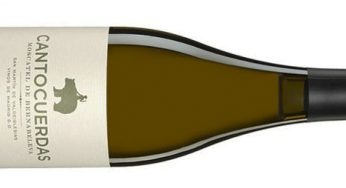 Cantocuerdas 2021, la seducción del moscatel seco de la sierra de Madrid