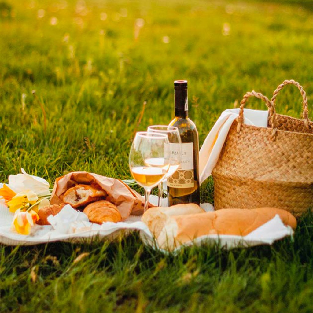 Picnic en el campo