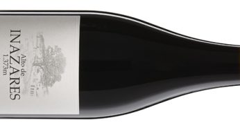 Alto de Inazares 2020, el syrah del techo de Europa