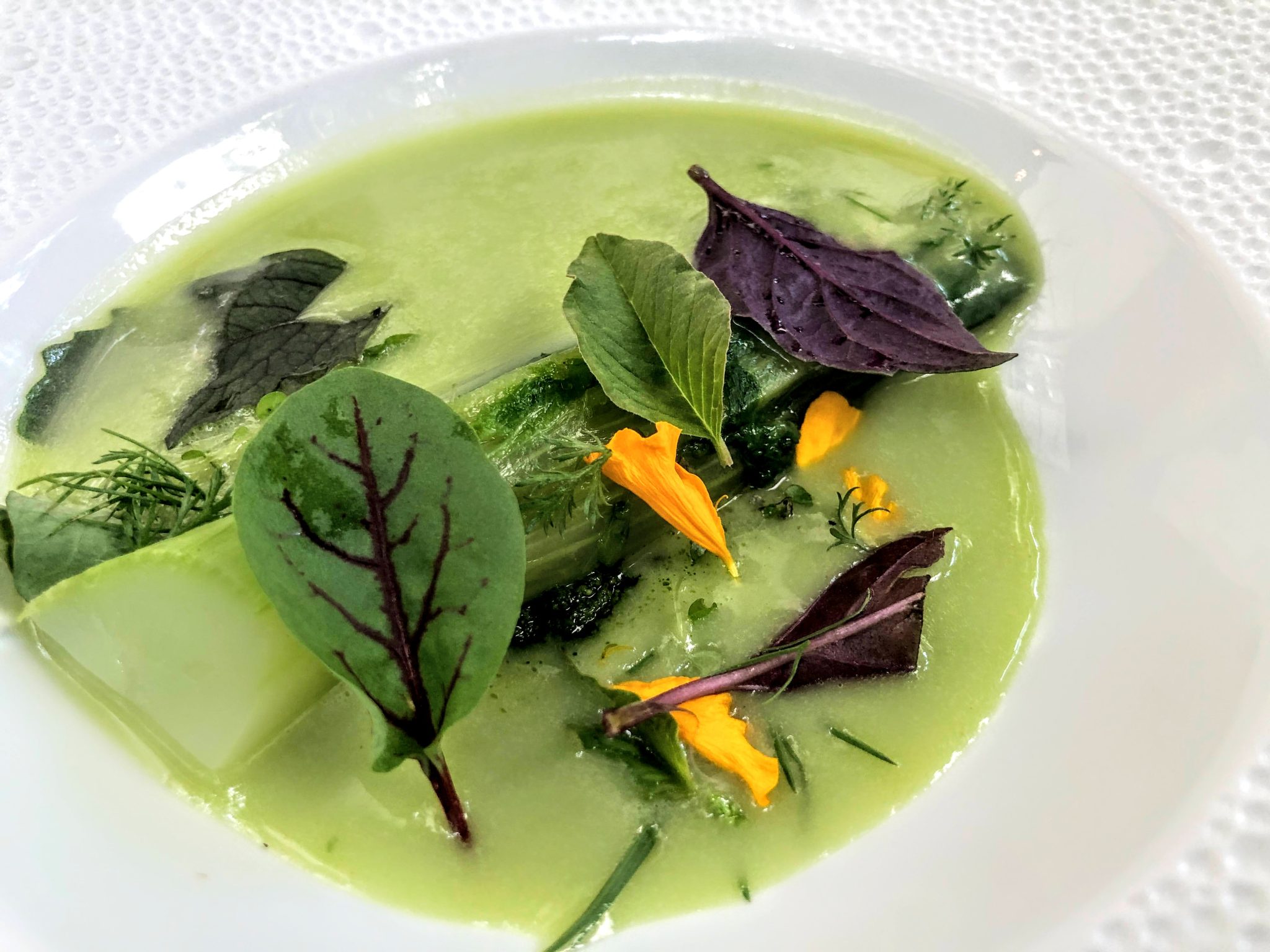 Hojas y brotes con jugo de verduras en La Bien Aparecida