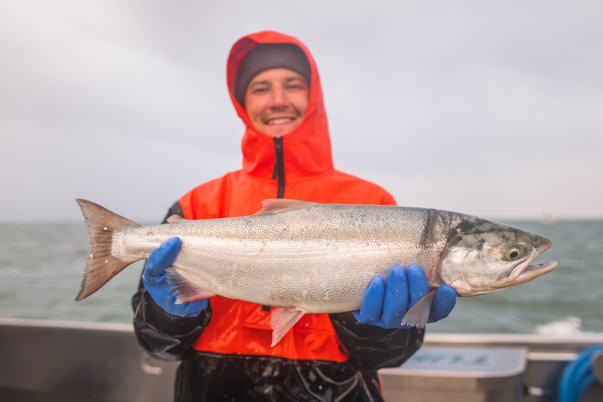 Salmón Salvaje de Alaska