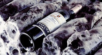 Los 6 Riojas clásicos imprescindibles
