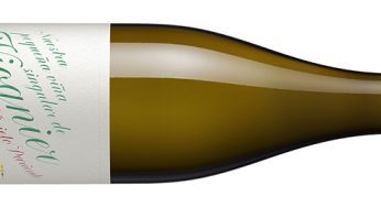 Prieto Pariente Viognier 2020, delicioso exotismo en tierra de verdejos