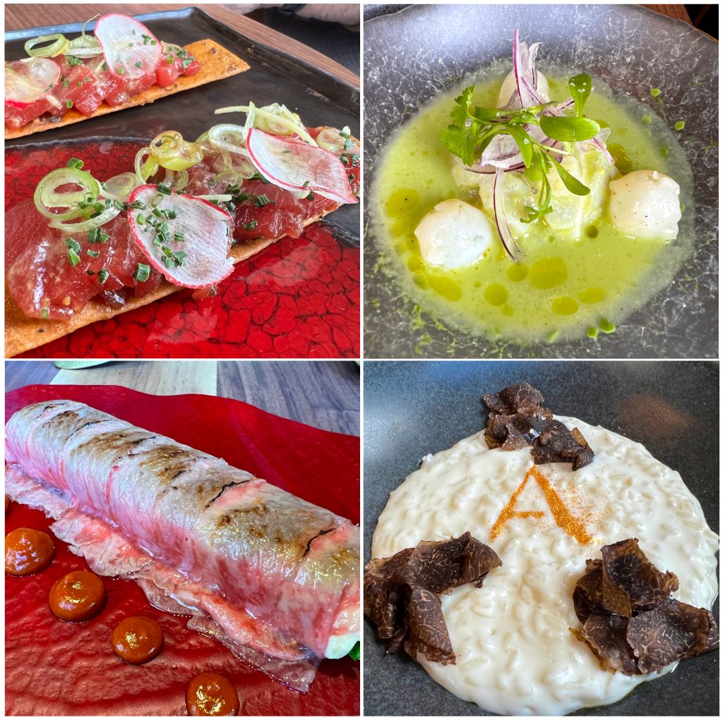 Pizzitas Sashimi, Cebiche, Ensaladilla y Risotto