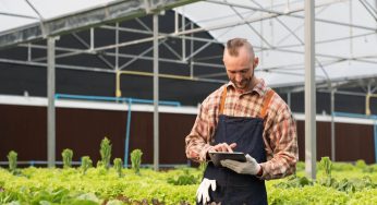 Guía para entender la especulación alimentaria