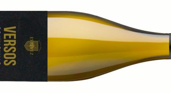 Versos de Valtuille 2021, un godello soñado para recuperar el arraigo y la memoria