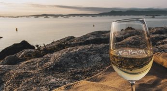 12 vinos de albariño imprescindibles