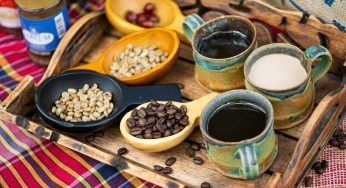 Blue Mountain coffee, el mejor café del mundo reside en Jamaica