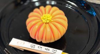 Pastelería tradicional japonesa ¿Sabes qué es el wagashi?