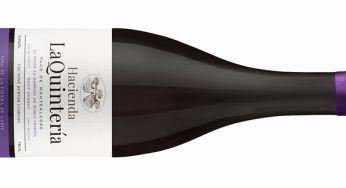 Hacienda La Quintería 2018, petit verdot con acento andaluz