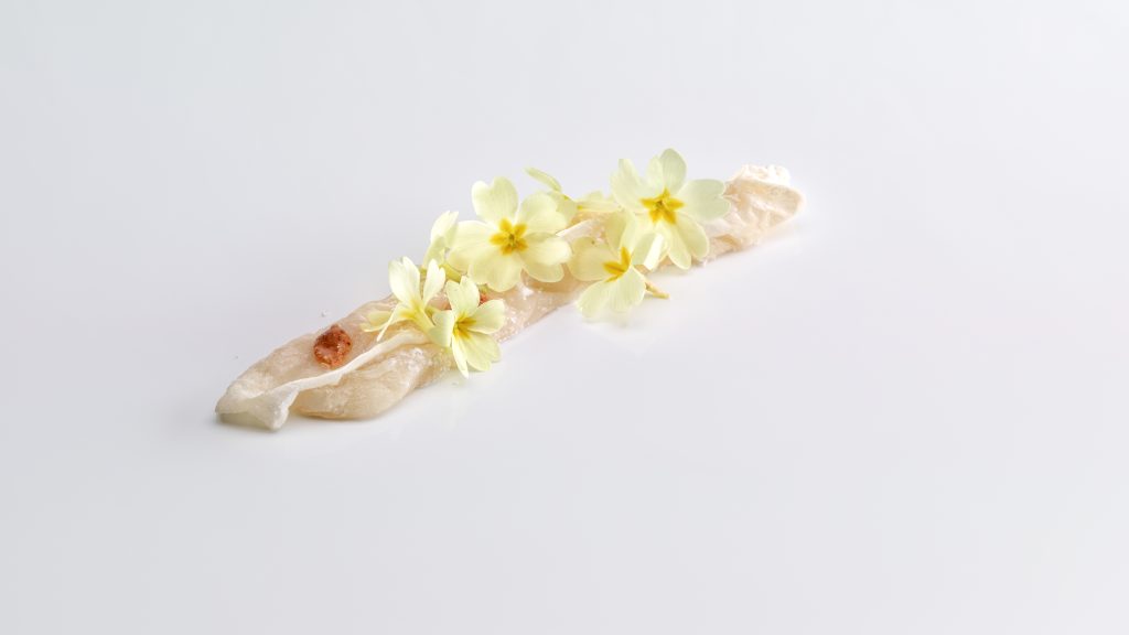 Hanami Mugaritz