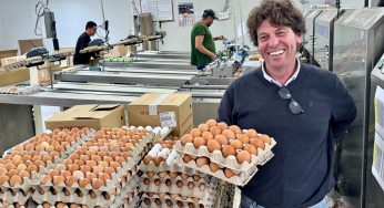 Huevos Redondo, el gallinero gourmet de Madrid