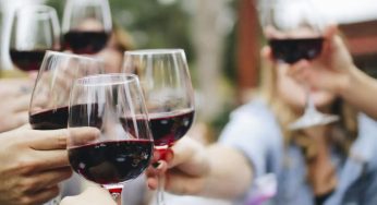 10 vinos tintos frescos por menos de 15 euros