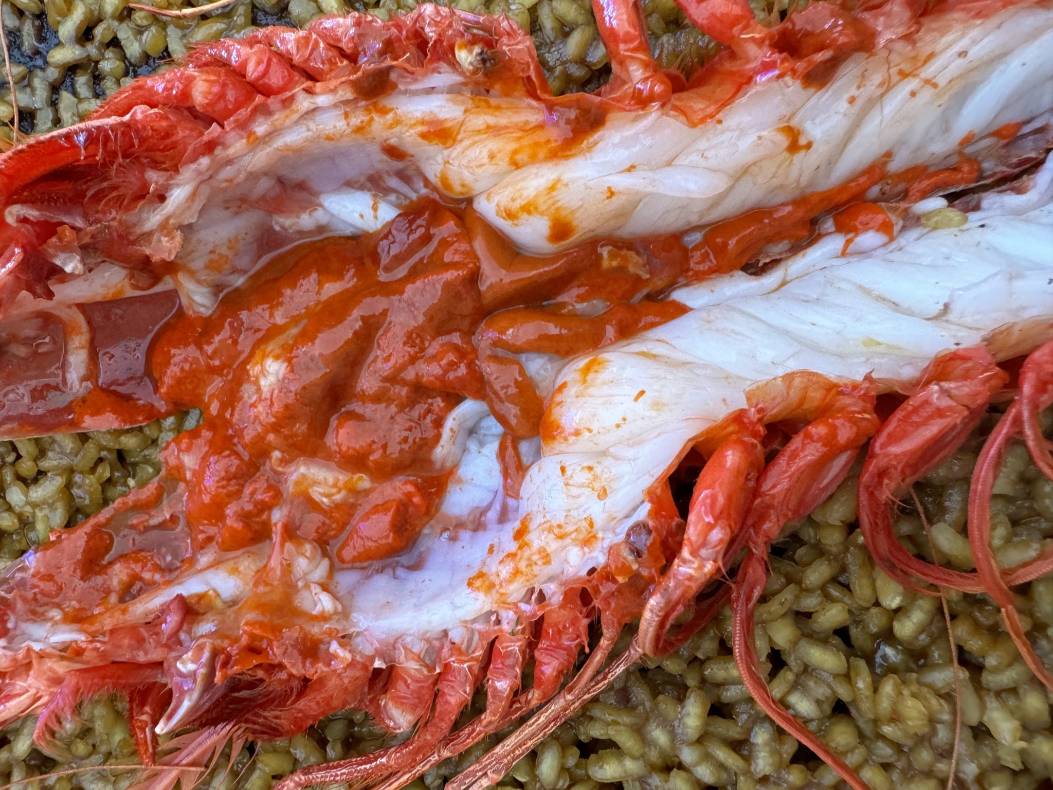 Carabineros de La Santa: carabinero con arroz