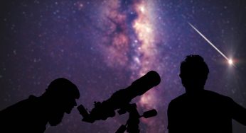 Cordero y estrellas en las noches de verano
