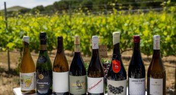 5 vinos biodinámicos para romper prejuicios