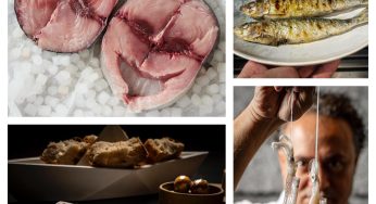 Pescados azules y cefalópodos: 5 imprescindibles en tu mesa