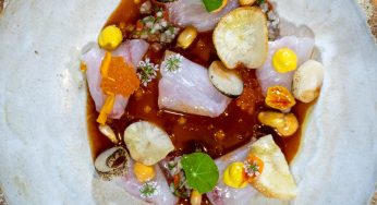 Tiradito de corvina de Rafa Bérgamo