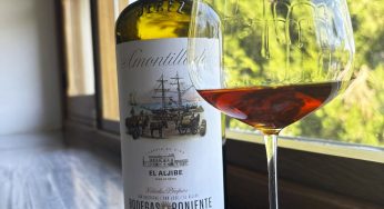 Amontillado: 10 vinos para un fascinante viaje sensorial