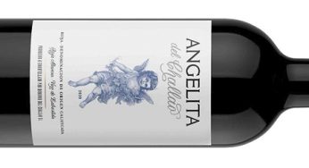 Angelita del Challao 2021, el tinto de pueblo riojano según Manu Michelini