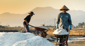 La sal: única piedra comestible