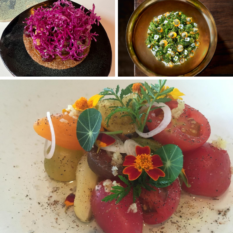 Curso universitario de verano 2015. cocinar la huerta