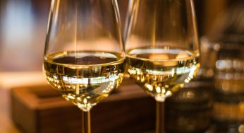 Los mejores vinos para acompañar una cena gourmet